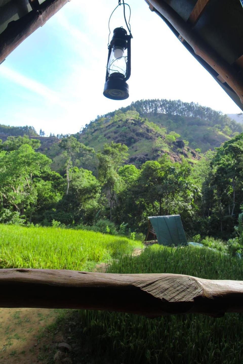 View (from property/room)