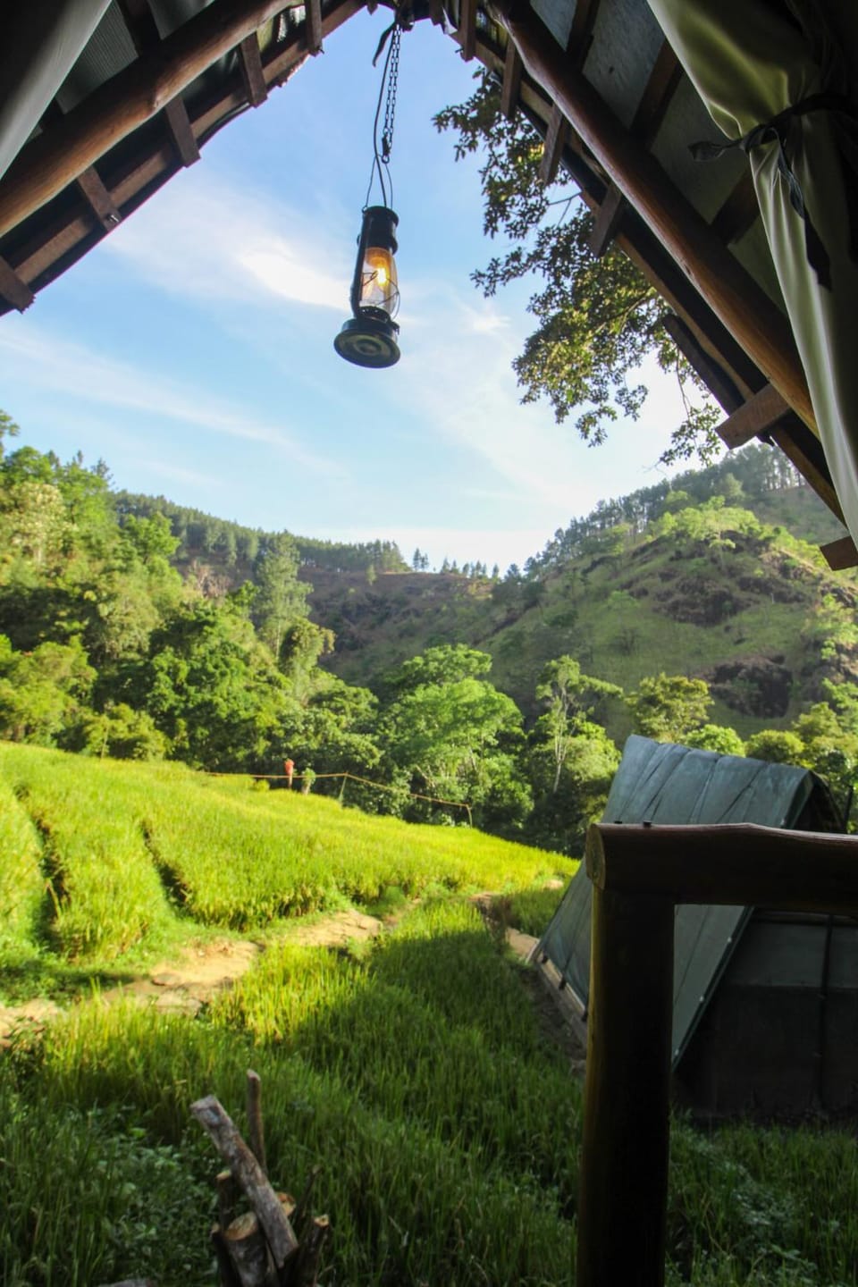 View (from property/room)