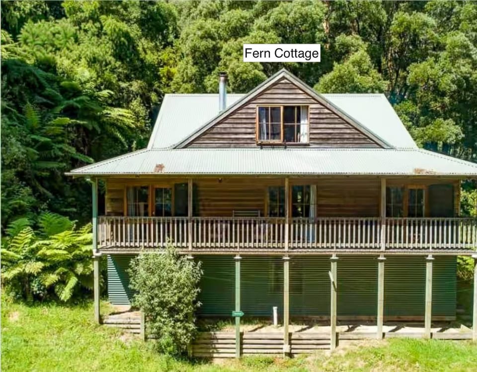 Property building, Garden view