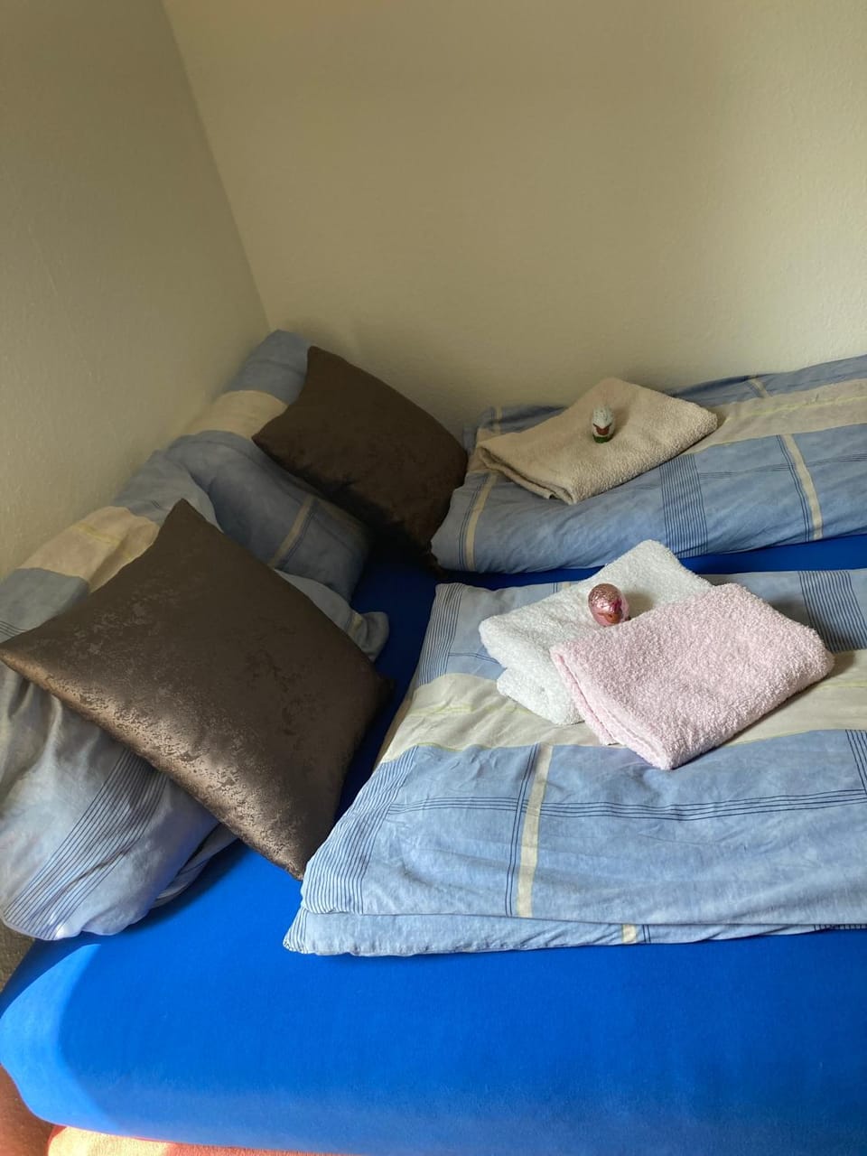 Toll Apartment mit privatem Eingang free Parking Slbst Check-in 30 Zone ruhig keine Ferienwohnung Apartment in Oberhausen
