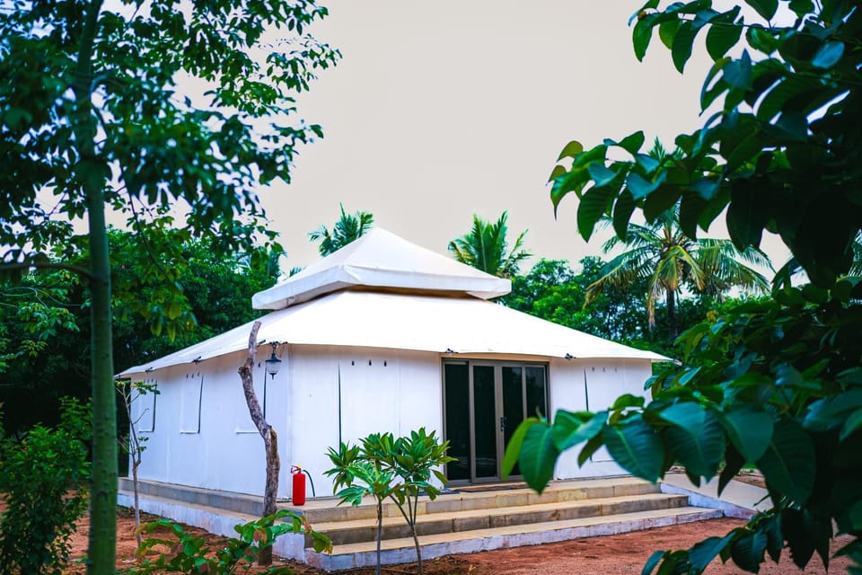 Property building, Garden view