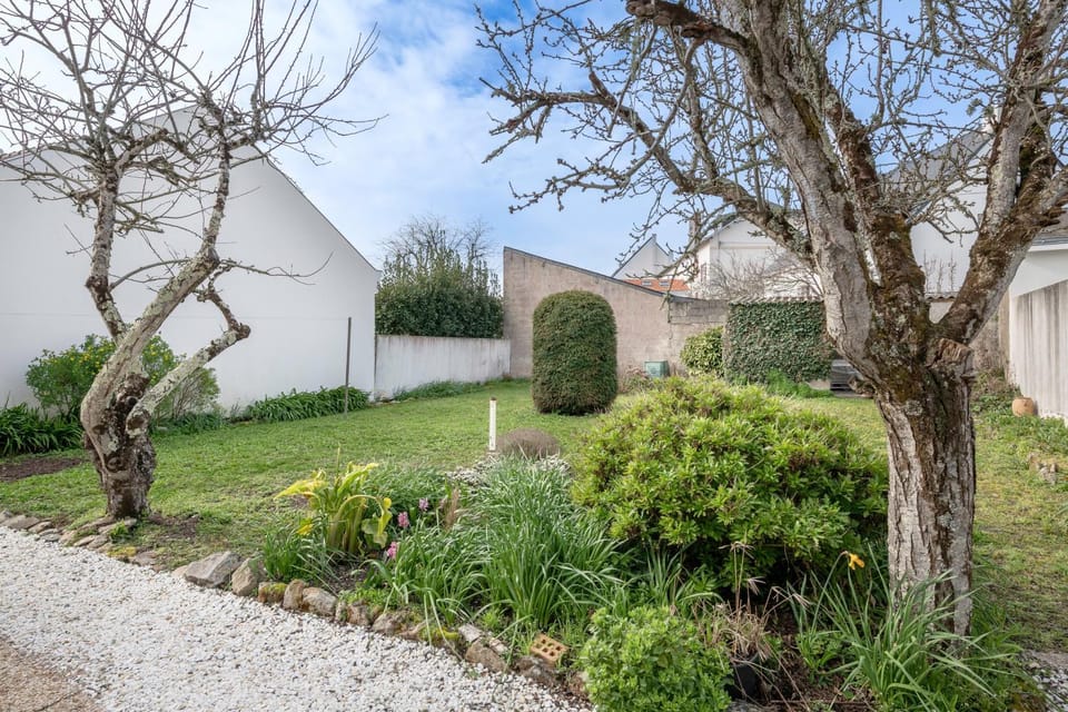 Patio, Garden, Garden view