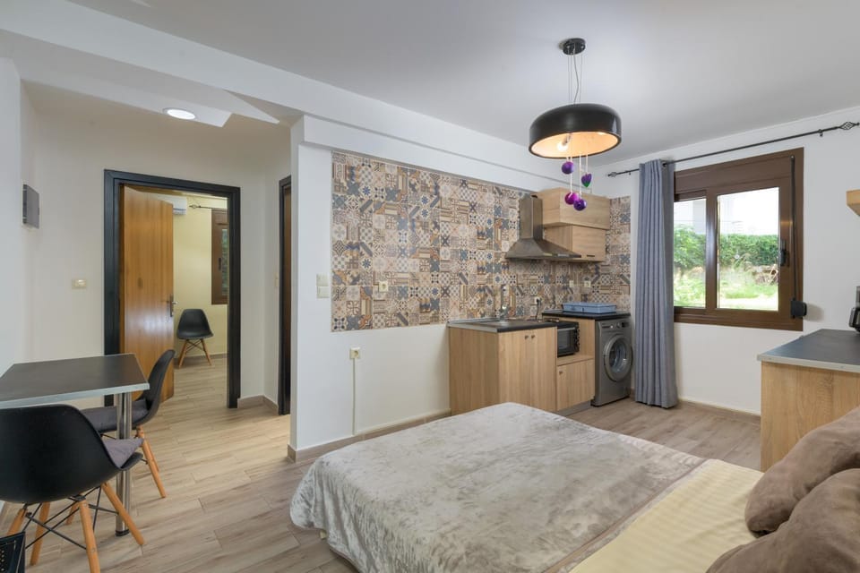 Bed, Kitchen or kitchenette, Living room, Photo of the whole room, Seating area, Dining area, Bedroom