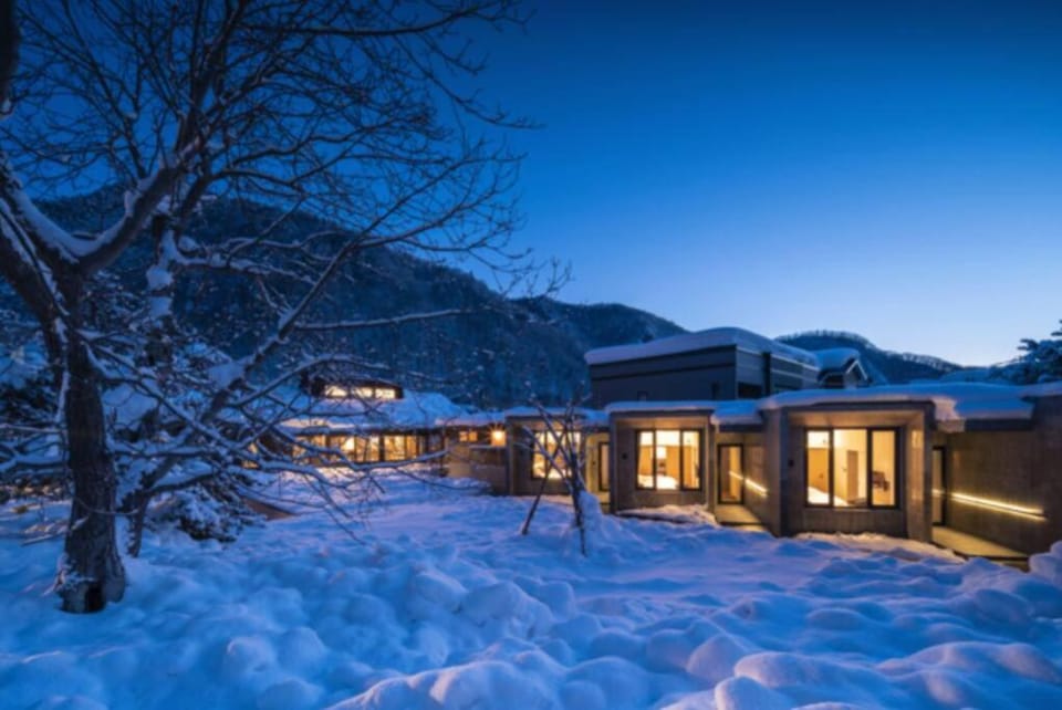 Property building, Night, Winter