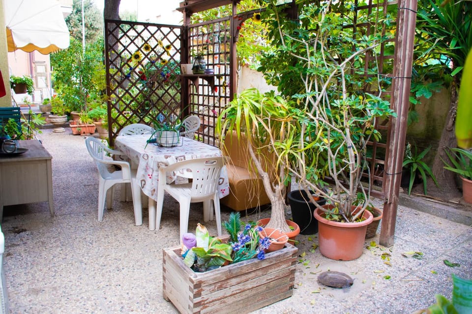 Garden, Garden view