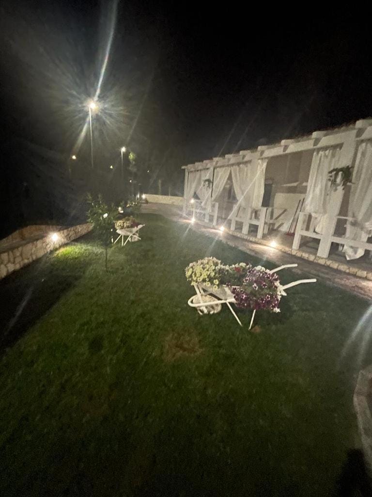 Night, Garden, Garden view