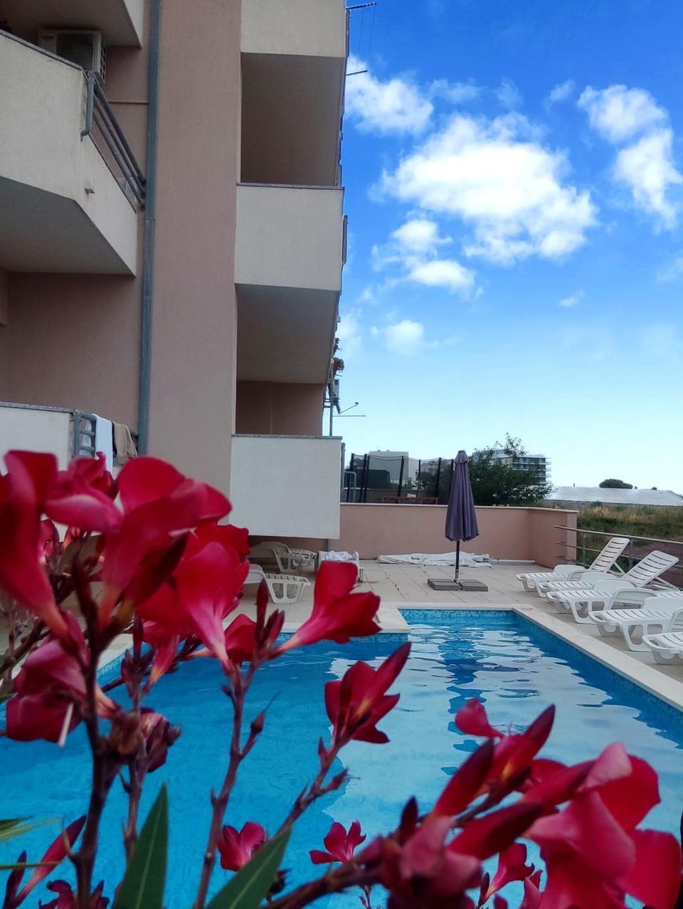 Day, View (from property/room), Pool view