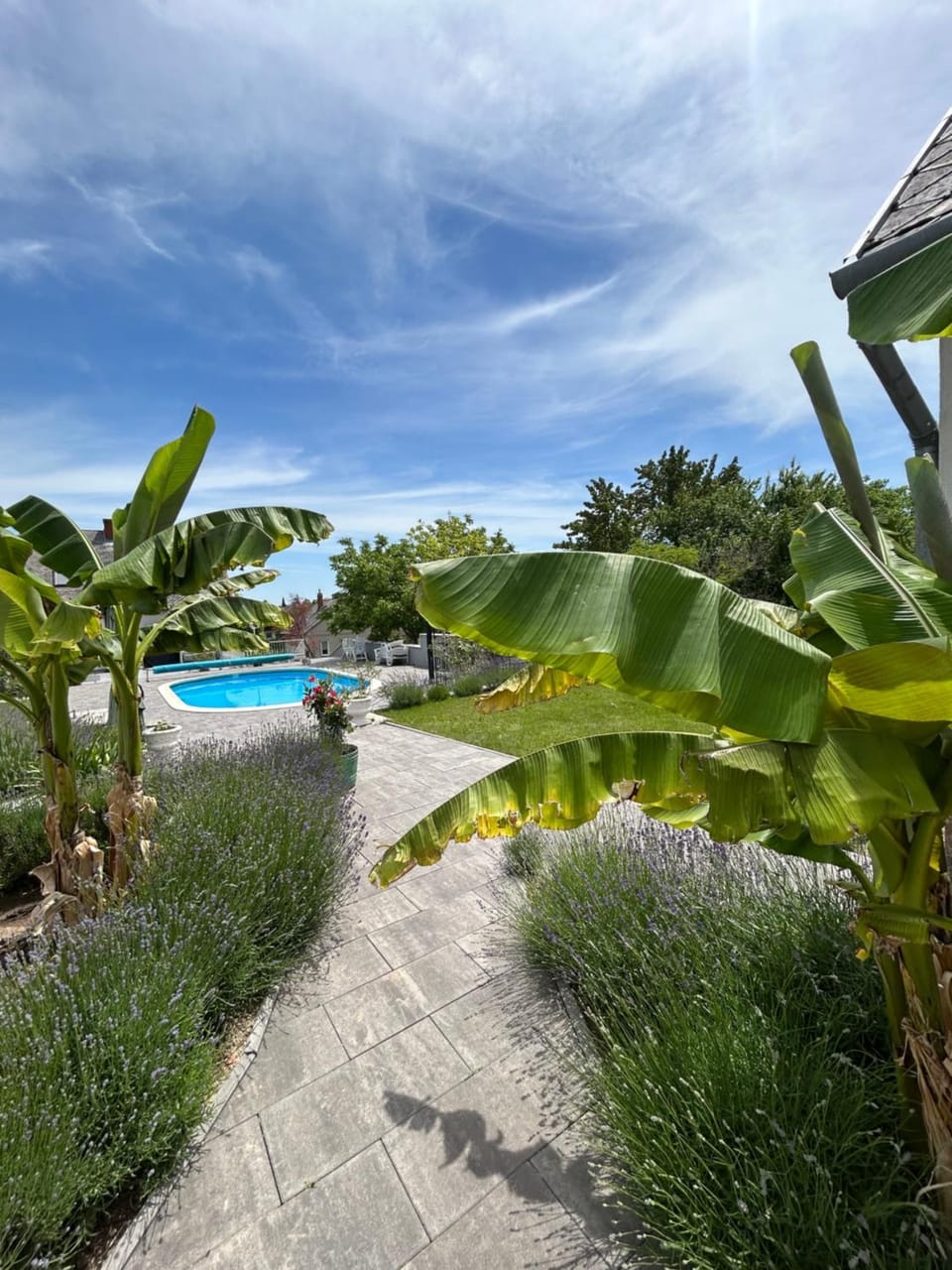Garden view, Pool view, Swimming pool, sunbed