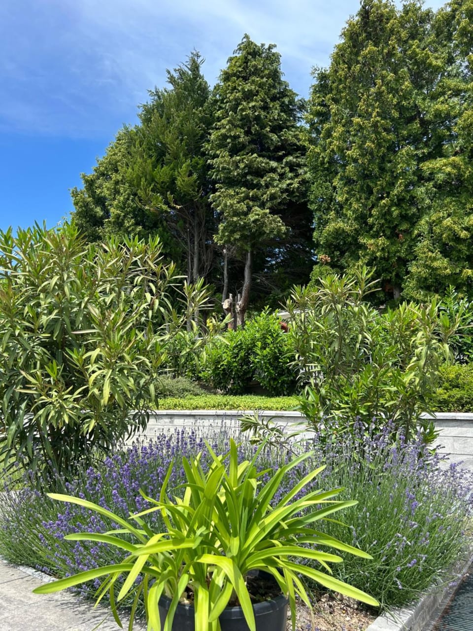 Natural landscape, Garden view