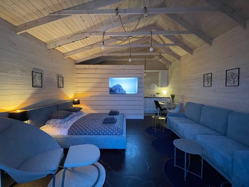 Bed, TV and multimedia, Living room, Photo of the whole room, Seating area, Bedroom
