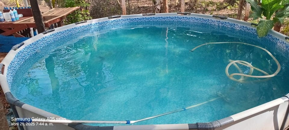 Natural landscape, Swimming pool, Swimming pool
