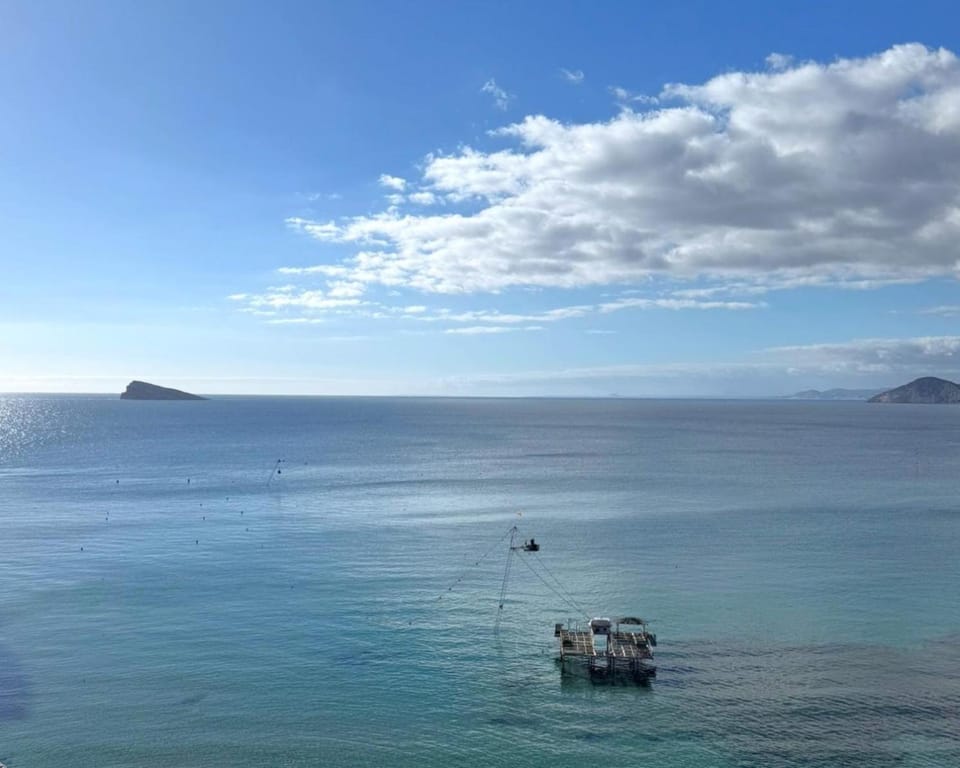 Sea view