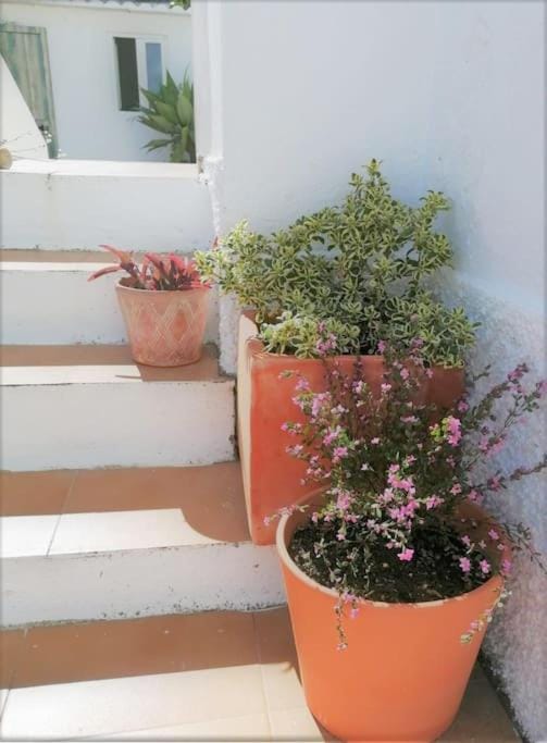 Garden, Balcony/Terrace