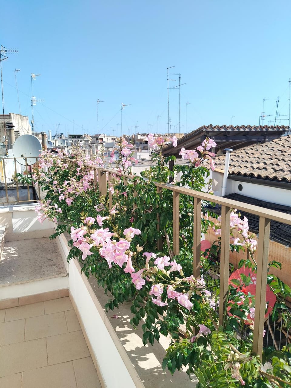 Il Sogno di SaZa Apartment in Castellana Grotte
