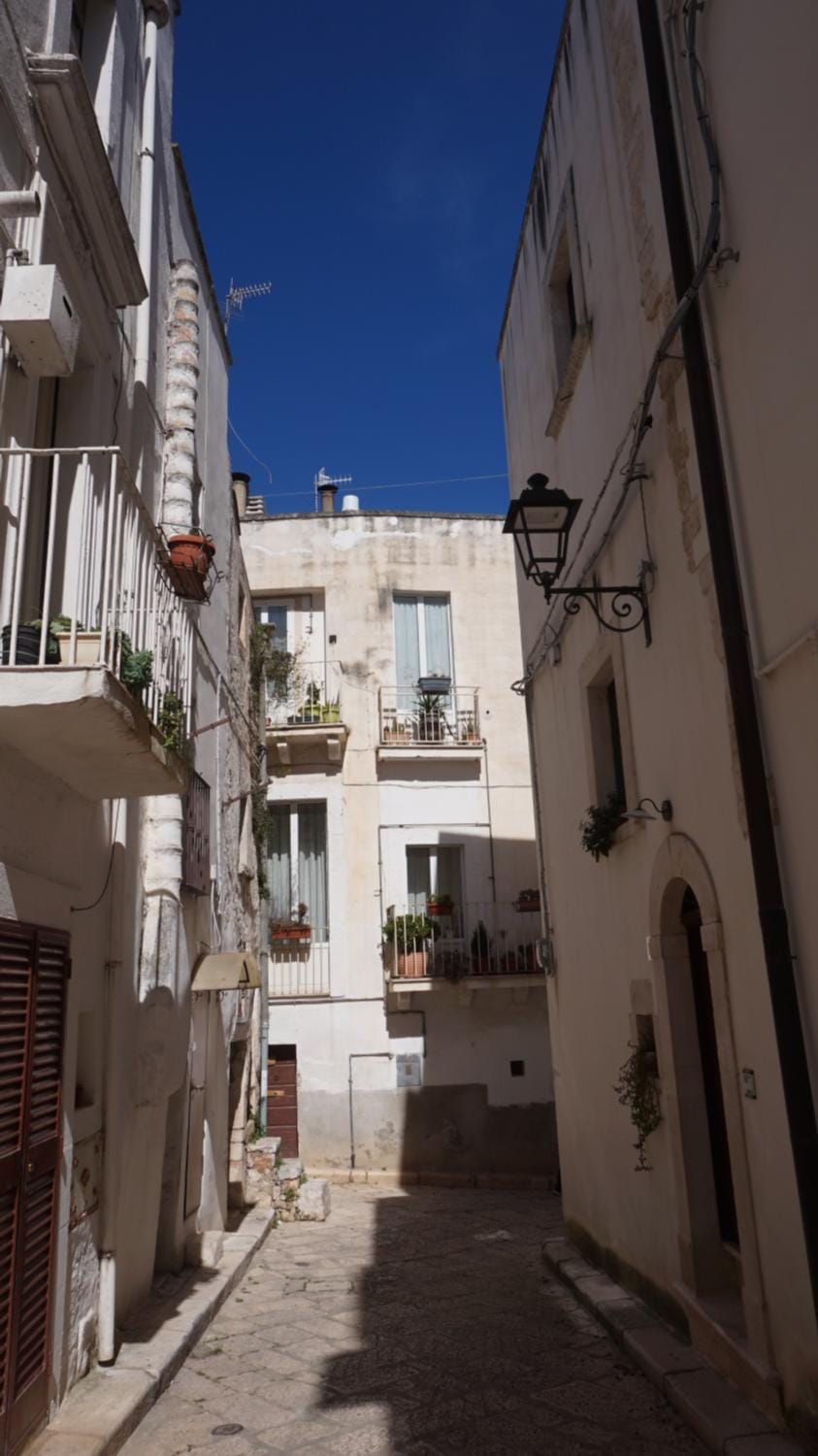Quiet street view