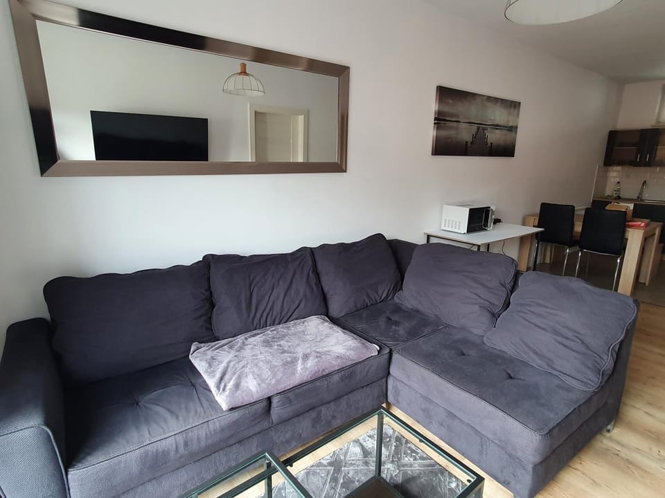 Apartament Skarbowa & Parking Apartment in Greater Poland Voivodeship