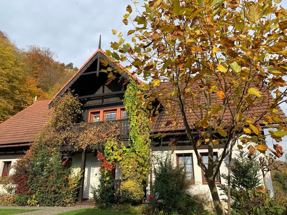 Property building, Day, Autumn