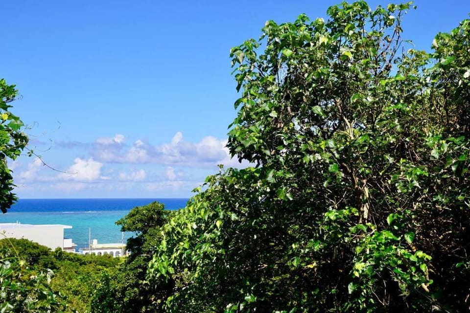 Natural landscape, Sea view