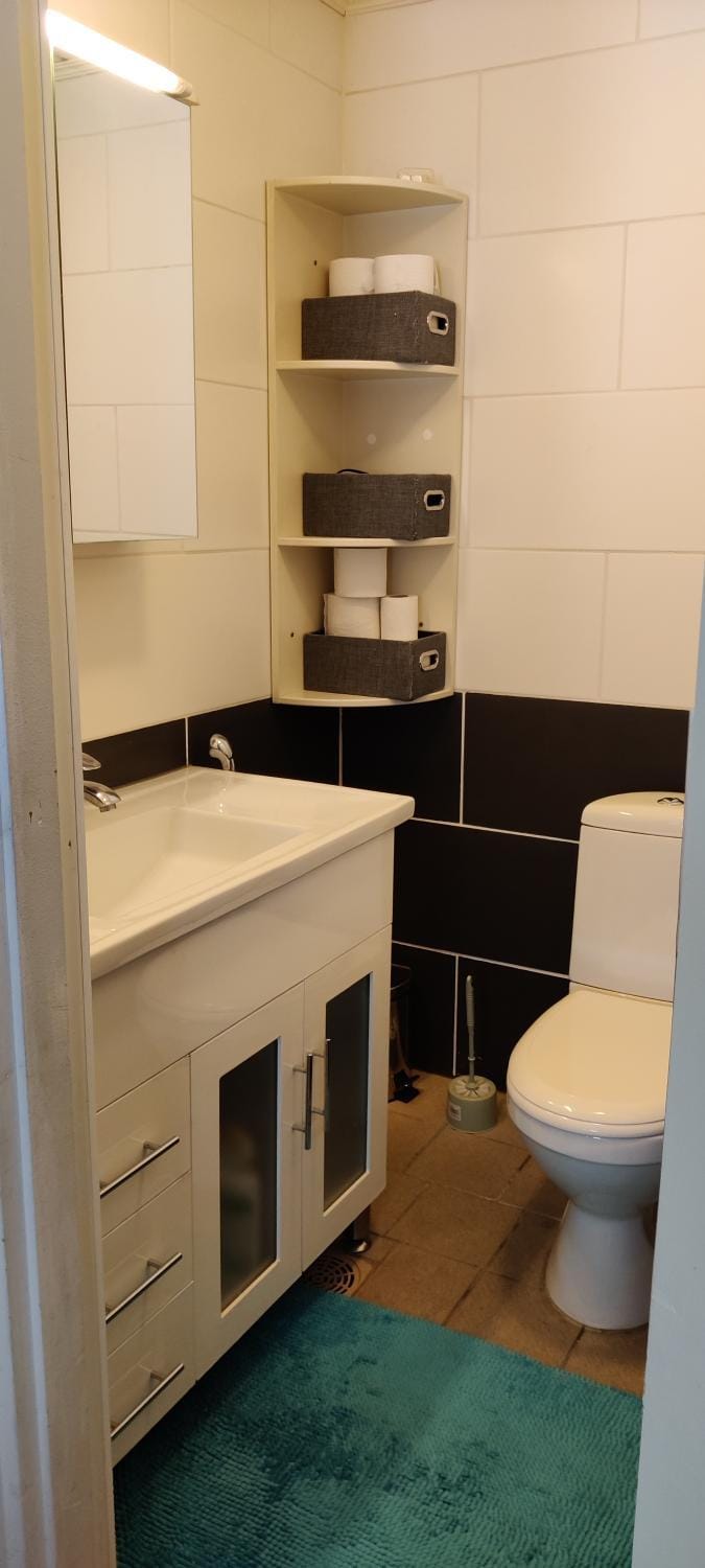 Toilet
