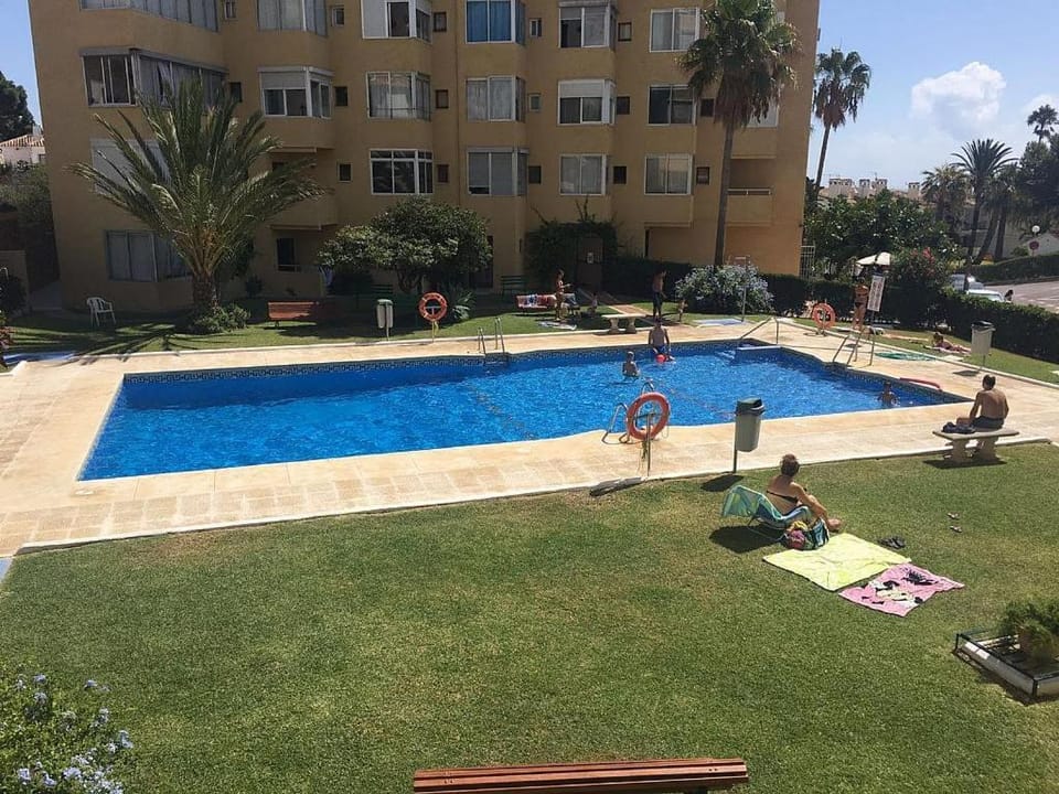 Garden, Pool view, Swimming pool