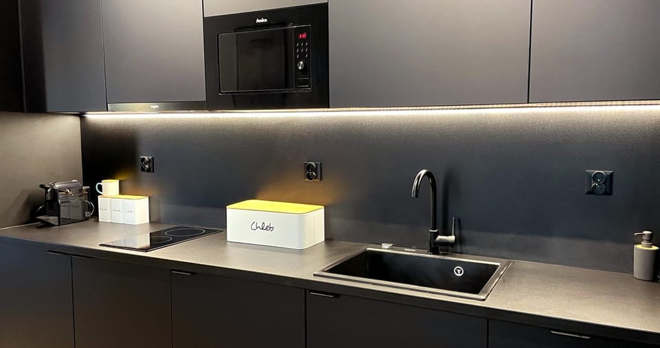 Kitchen or kitchenette, minibar, stove