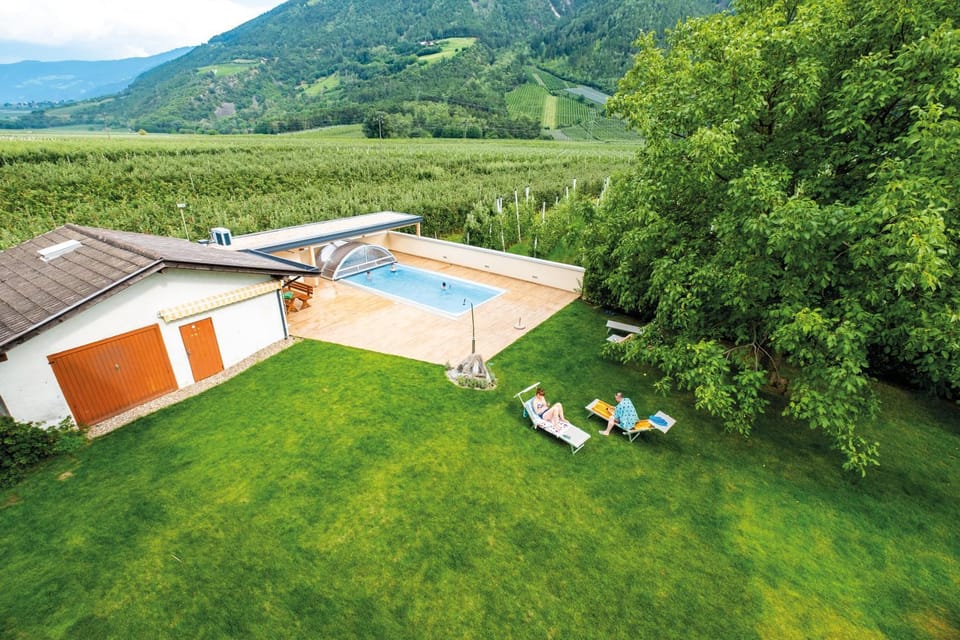 Natural landscape, Garden, Swimming pool