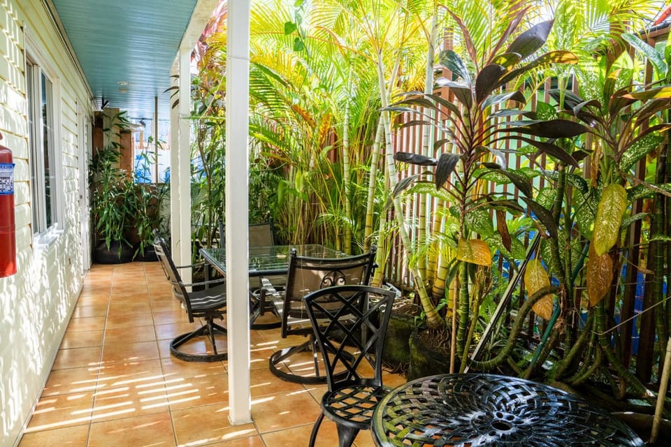 Patio, Day