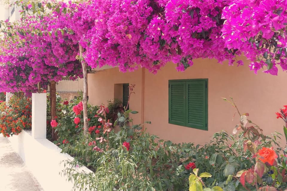 Marinos Seaside Apartment in Cephalonia
