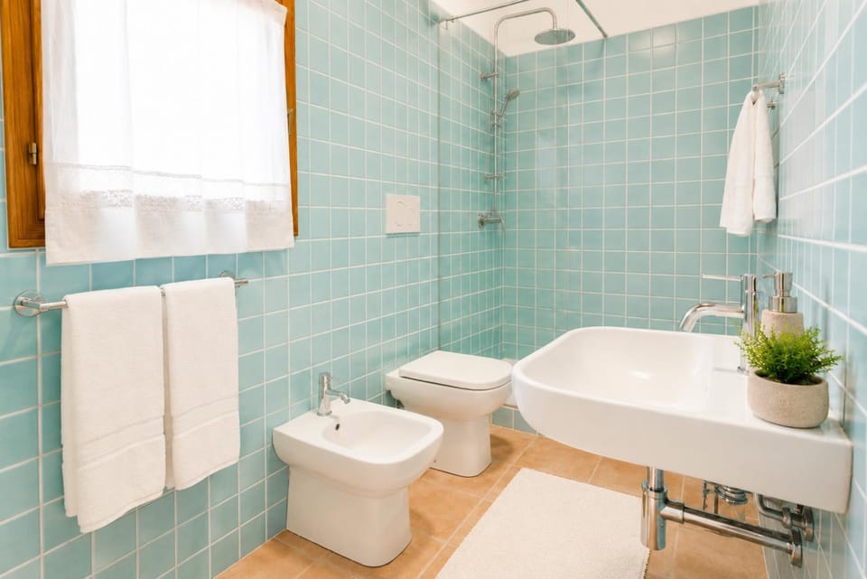 Shower, Toilet, Bathroom, bidet