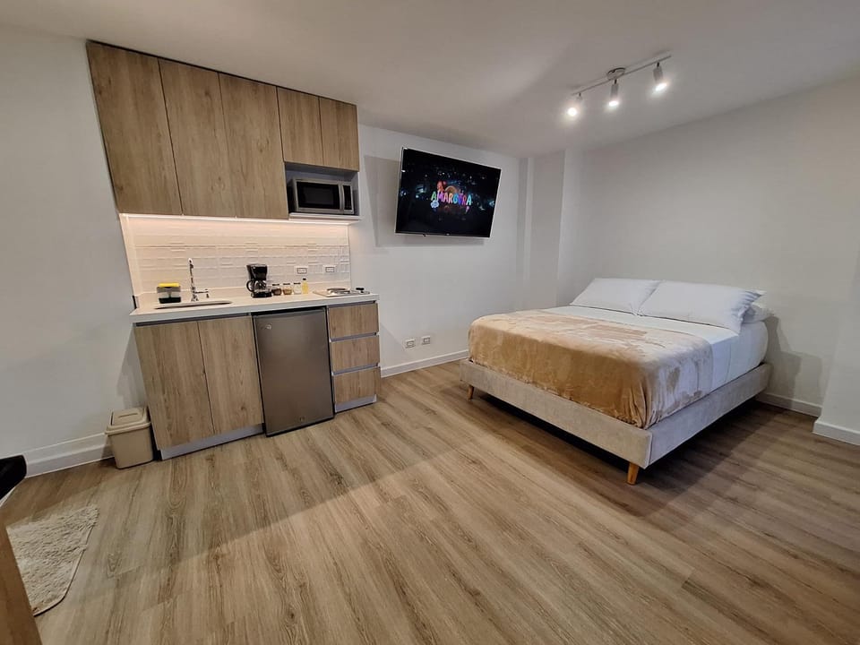 Bed, TV and multimedia, Kitchen or kitchenette, Photo of the whole room, Bedroom, minibar, oven