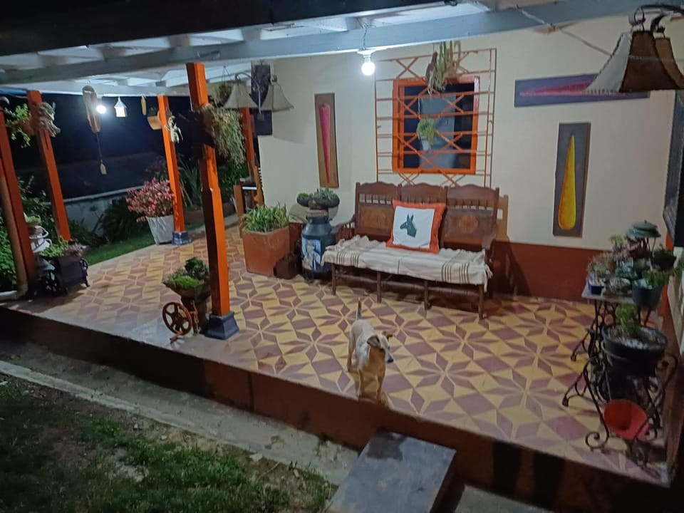 Night, Garden, Seating area