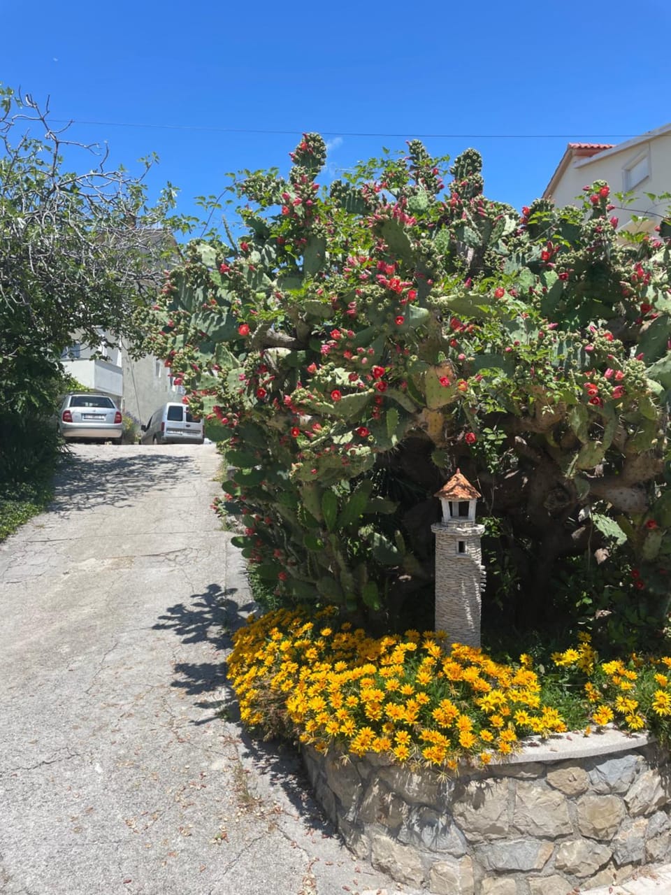 Day, Garden, Garden view