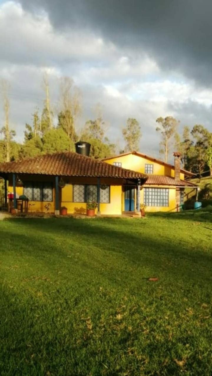 Property building, Natural landscape, Garden view