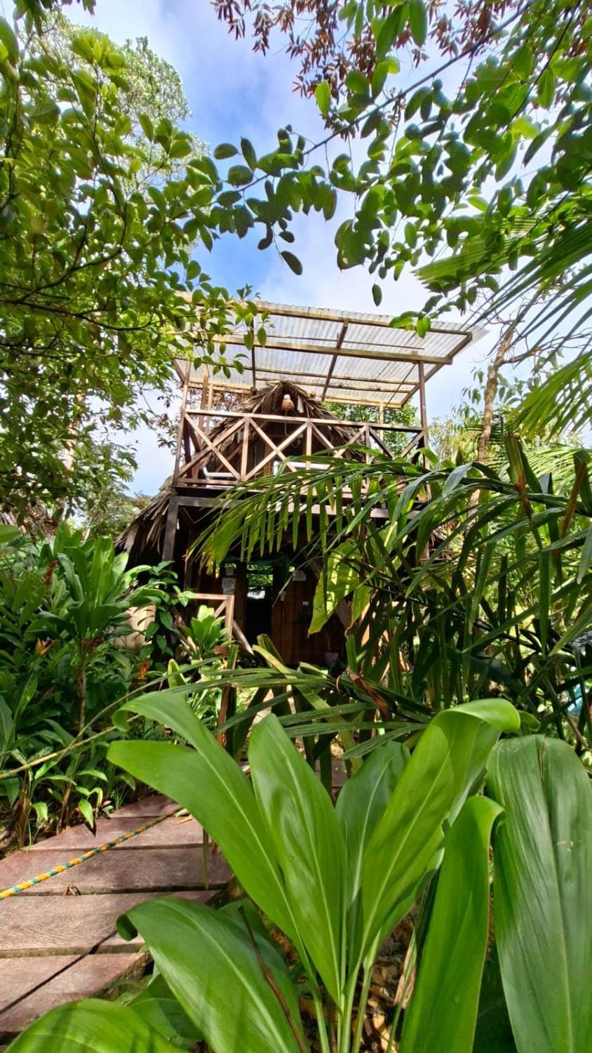 Natural landscape, Garden view