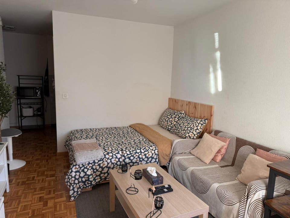 Studio charmant centré à Lausanne Apartment in Lausanne