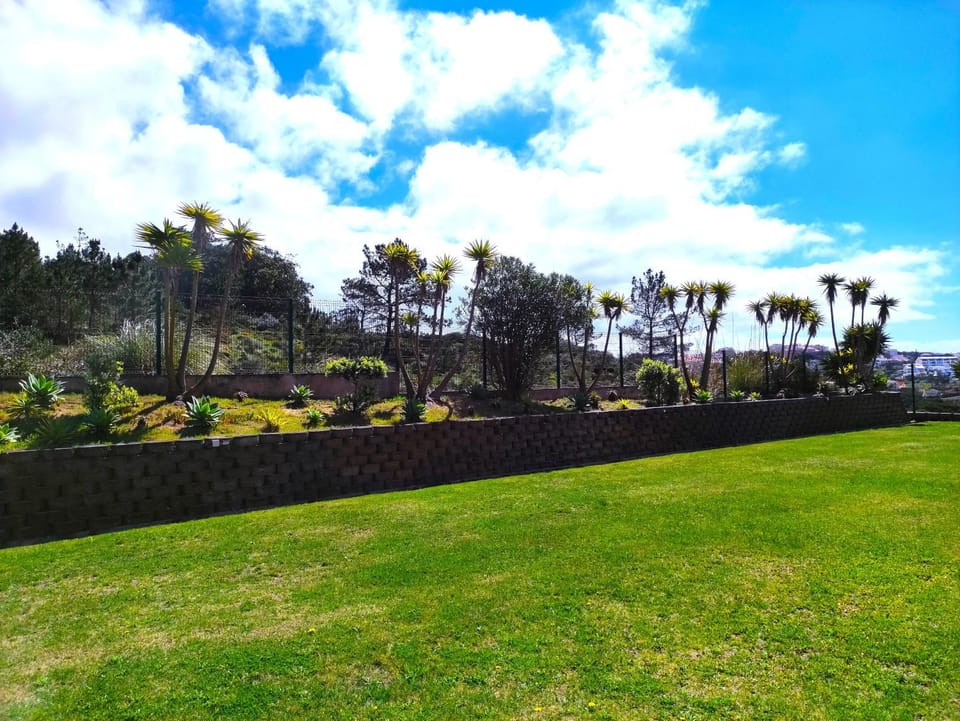 Spring, Day, Natural landscape, Garden, Garden view