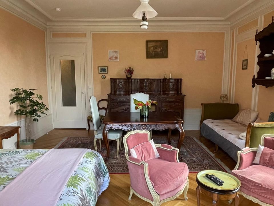 Grand studio centre-ville avec balcon et WiFi - FR-1-555-87 Apartment in Aix-les-Bains
