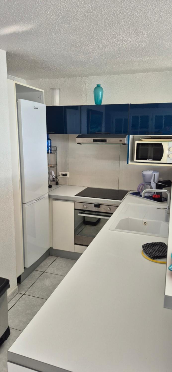 Le Pêcherie, T3 superbe vue mer, parking, clim, wifi Apartment in Agde