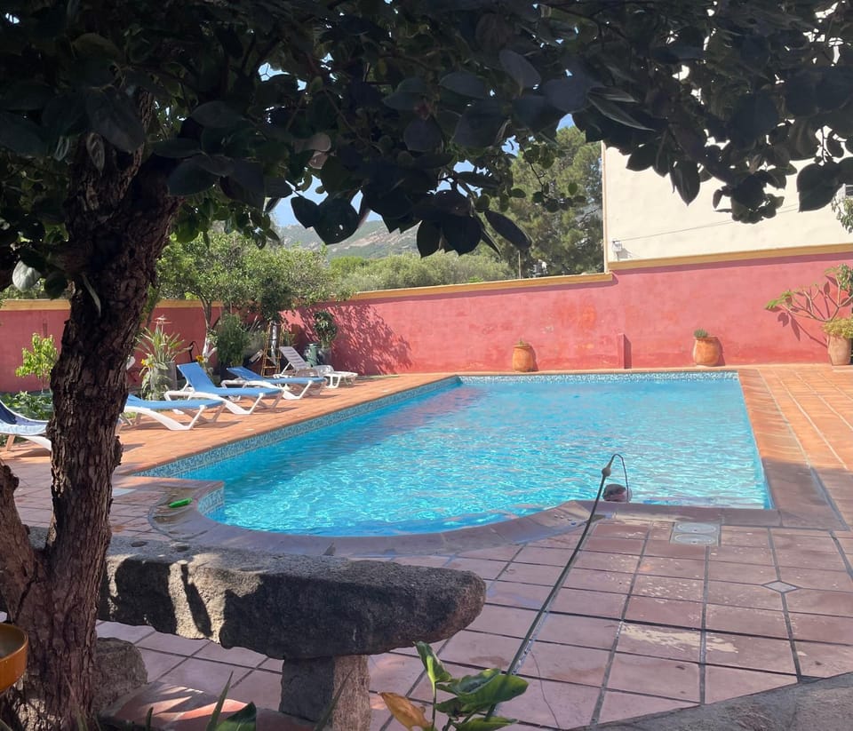 Day, Pool view, Swimming pool, sunbed