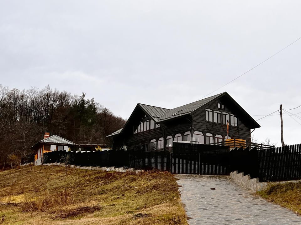 Pensiunea Roxana Villa in Moldova