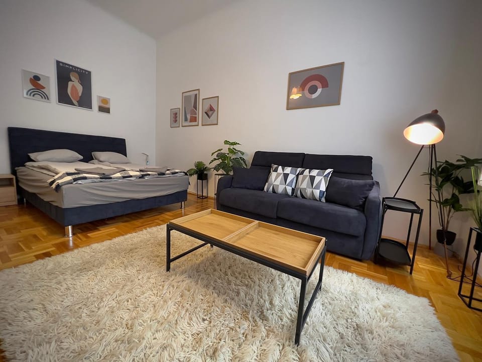 Residence in the pedestrial area Apartment in Budapest