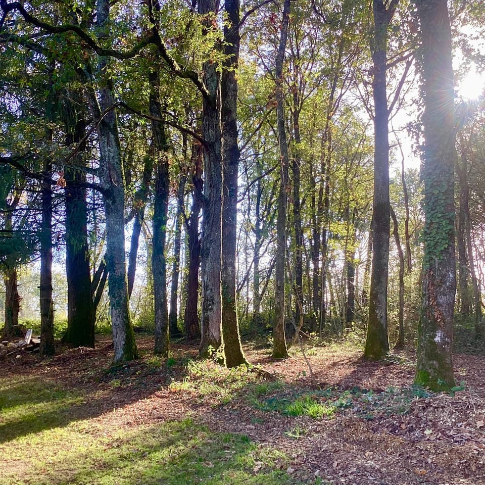 Natural landscape