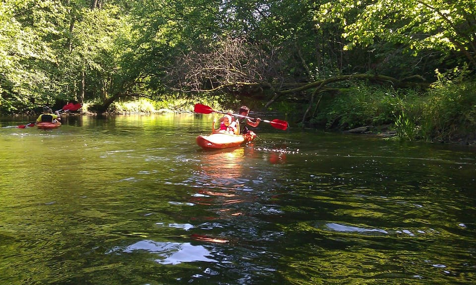 Natural landscape, Activities, Canoeing, River view, group of guests