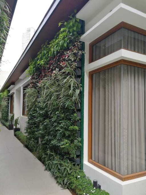 Property building, Garden, Garden view