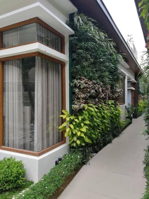 Property building, Garden, Garden view
