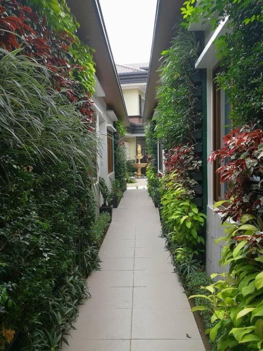 Property building, Garden, Garden view