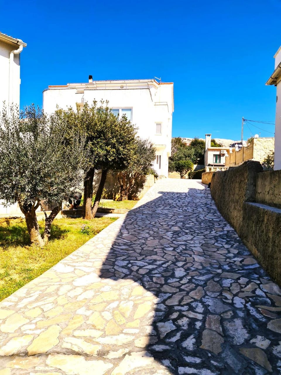 Apartment Karlo - city center Apartment in Zadar County