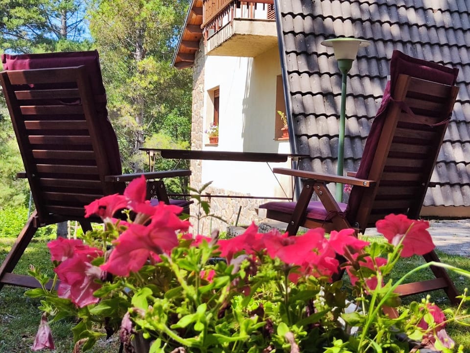 Property building, Garden, Garden view