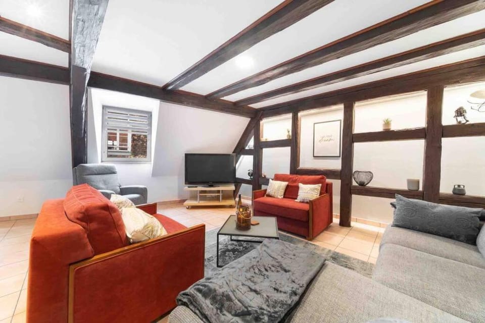 Les Lionceaux, 120m2 à Colmar, place de parking gratuite Apartment in Colmar