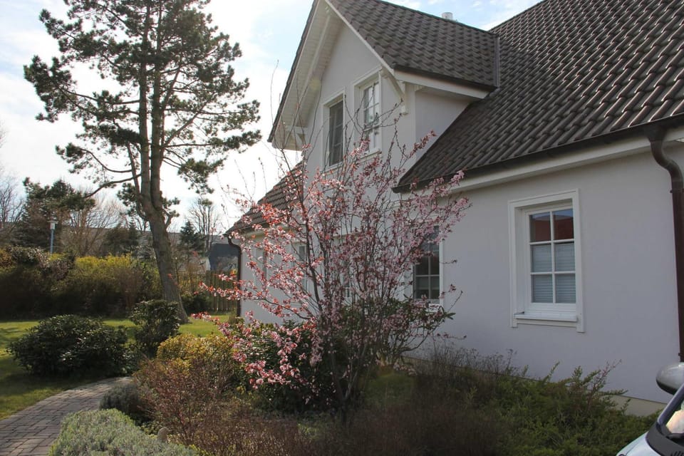 Property building, Spring